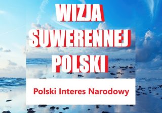Wizja Suwerennej Polski. Projekt NISS